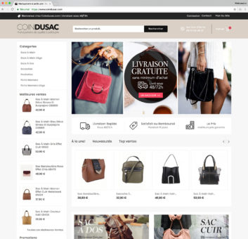 site e commerce dropshipping sac a main